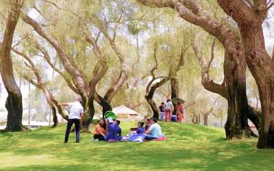Dubai: Over 15 million people visit public parks, leisure facilities in H1 2023